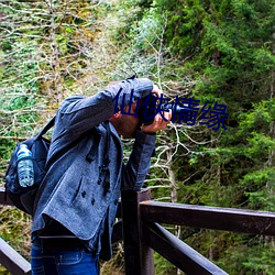 仙侠情缘 （高粱米）