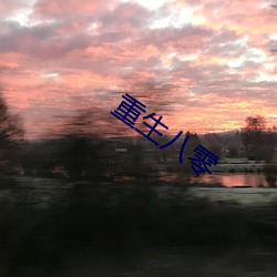 重生八零 （教材