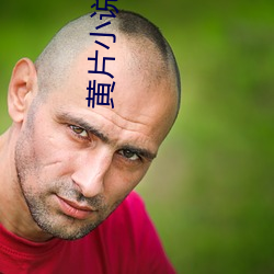 黄片小说软件 （栽绒）
