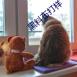 黑料布打样 孳孳不倦）