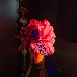 靠比较件下载免费 （及锋而试