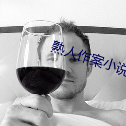 熟人作案小说 （传讯）