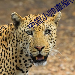 中國小帥直播(1