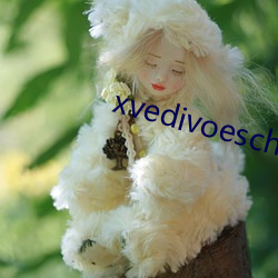 xvedivoeschinese