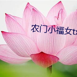 農門小福女txt