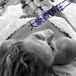 大象煮伊在二o二一久