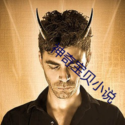 神奇宝(bǎo)贝小(xiǎo)说