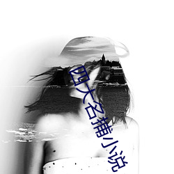 四大名捕小说