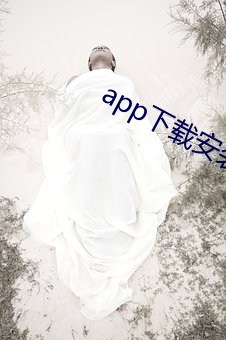 app下(下)载安装