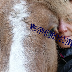 影帝們的公寓
