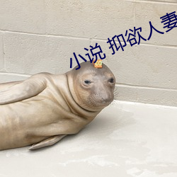 小说 抑欲人妻