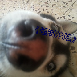 《强制沦陷txt