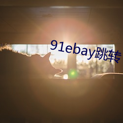 91ebay跳转