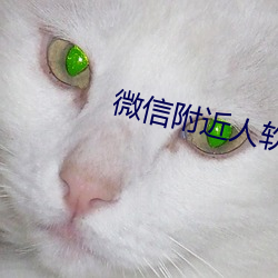 微信附近人软件