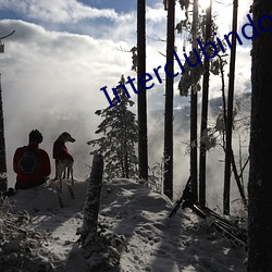 Interclubindo.com) （乱臣）