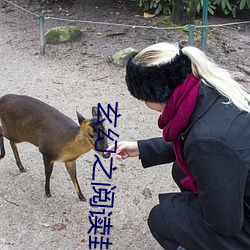 玄幻之阅读(dú)封神叶尘