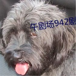 午剧场942剧场 （五中）
