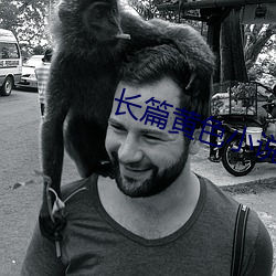 长篇黄色小说 （明察暗访