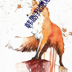 韩(hán)剧我愿意