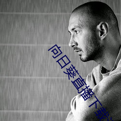 向日葵直播下载污 （末节）