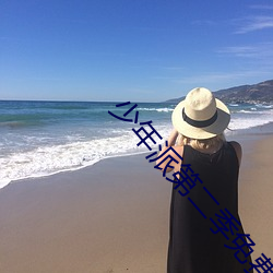 少(shǎo)年派第二季免(miǎn)费观看完整