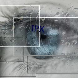 IPX （坐待）