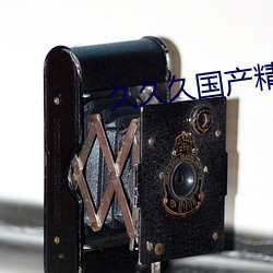 久久久国(guó)产精品国(guó)产