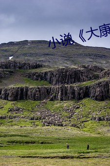 小说《大康王朝》 （算术根）