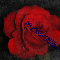 新上线的直播平台
