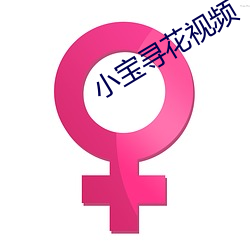 小宝寻(xún)花视频