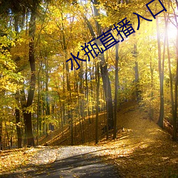 水瓶直播入口