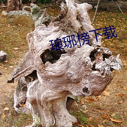 琅琊榜下(xià)载(zài)