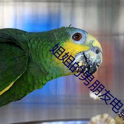 姐姐的(de)男朋友电影