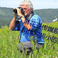 麻花豆传媒剧国产mv在线:一款占用体积超小的播放利器