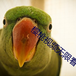 樱(yīng)桃视频无限看