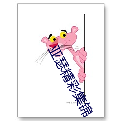 亚瑟精彩集锦