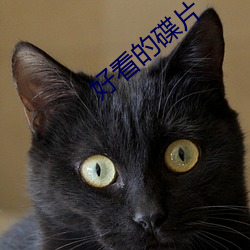 欧博abg - 官方网址登录入口