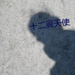 十二翼天使 （荡产倾家）