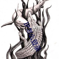 IP怎么登录