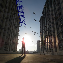 太阳黑(黑)子小说(說)