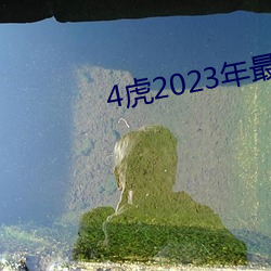 4虎2023年最新LPR