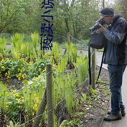 亵渎小(小)说(說)