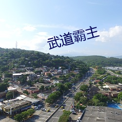 武道霸主