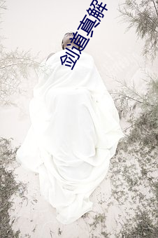劍道真解