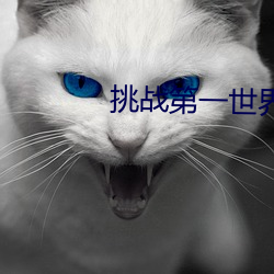 挑战第一世界小说