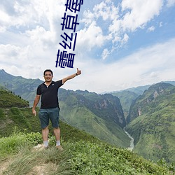 蕾丝草(草)莓(莓)榴莲向日(日)葵秋(秋)葵