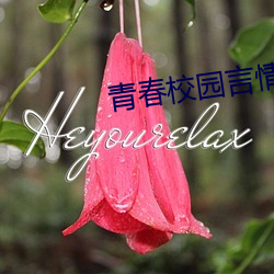 青春校園言情小說