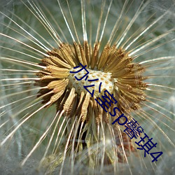 办公(gng)室sp馨琪4