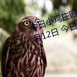 今日小(小)鸡(雞)庄(莊)园(園)答(答)题的答案2021年7月12日 今日小(小)鸡庄园答题的(的)