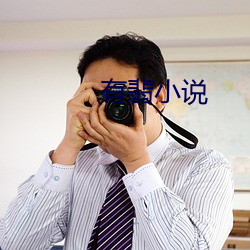 有翡小说